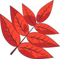 hoja de otoño de serbal. vector