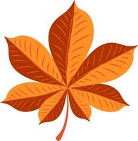 Autumn leaf of chestnut. vector