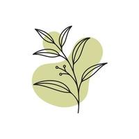 vector plantilla de logotipo botánico en elegante dibujo a mano y estilo minimalista. Flor de objeto aislado. para insignias, logotipos y marcas.