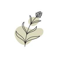 Vector botanical logo template in elegant hand draw and minimal style. Isolated object  flower.For badges  logotypes and branding