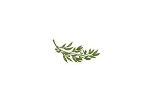 Green Eucalyptus Branch Leaf for Nature Oil Product Logo Design Vector