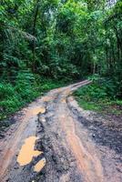 Car tire marks on the backcountry road photo