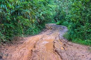 Car tire marks on the backcountry road photo