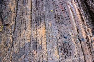 Car tire marks on the backcountry road photo