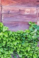 Old wooden wall. photo