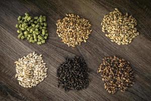 Barley malt grains beer brewing natural ingredients in german brewery photo