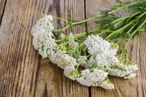 Bunch of wild flowers with white inflorescences on wooden table photo