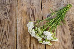 Bunch of wild flowers with white inflorescences on wooden table photo