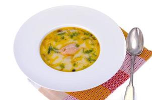 crema finlandesa y sopa de salmón. foto de estudio.