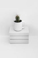 cactus white mug stacked books isolated white background photo