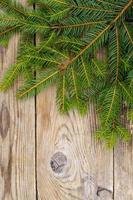 Christmas background, spruce branches on wooden surface photo