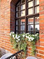 fachadas y ventanas de edificios decorados con flores. foto