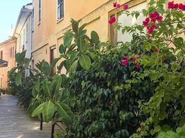 plantas con flores y flores en macetas que decoran las fachadas de los edificios. foto