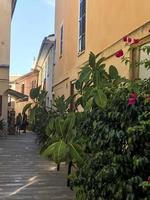 Flowering plants and potted flowers decorating building facades. photo