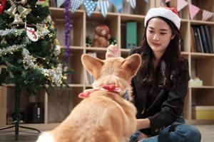 One young Asian beautiful young female worker in a red hat is teasing a dog with love at a business office party, Decorative for celebrating the Christmas festival and New Year's holidays. photo