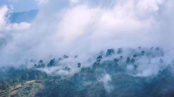 niebla sobre las montañas en el clima lluvioso en el campo. lleno de árboles verdes y hermosa naturaleza. foto