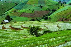 Viajar en temporada de lluvias paisaje de terrazas de arroz en Ban Papongpieng Chiang Mai de Tailandia foto