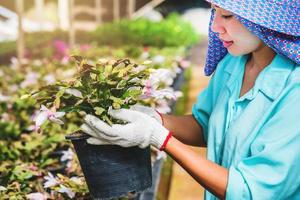 Happy worker asian woman with planting flowers taking care of flowers in greenhouse. photo