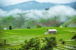 Viajar en temporada de lluvias paisaje de terrazas de arroz en Ban Papongpieng Chiang Mai de Tailandia foto