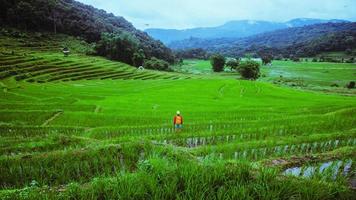 Freedom woman traveler nature. Travel relax. Walking take a photo of rice fields.rainy season in Chiang Mai, Thailand. travel backpack