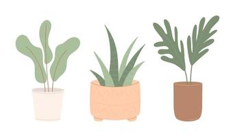 Conjunto de modernas plantas en macetas para decoración de interiores de hogar y oficina.Ilustración de vector plano coloreado aislado sobre fondo blanco.