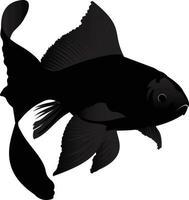 Ornamental fish with twisted fins in black color vector