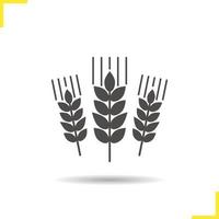 Wheat ears icon. Drop shadow barley silhouette symbol. Spikes of rye. Negative space. Vector isolated illustration