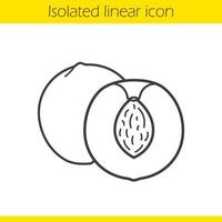 Apricot linear icon. Halved peach thin line illustration. Cutted nectarine contour symbol. Vector isolated outline drawing