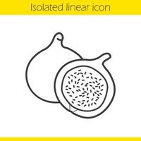 Fig linear icon. Thin line illustration. Common fig fruit contour symbol. Vector isolated outline drawing