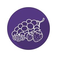 Berries flat linear long shadow icon. Bunch of grapes, strawberry, raspberry. Vector line symbol
