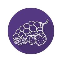 Berries flat linear long shadow icon. Bunch of grapes, strawberry, raspberry. Vector line symbol