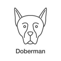 Doberman Pinscher linear icon. Thin line illustration. Guardian dog breed. Contour symbol. Vector isolated outline drawing