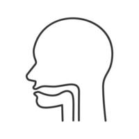Oral cavity, pharynx and esophagus linear icon. Thin line illustration. Upper section of alimentary canal. Contour symbol. Vector isolated outline drawing