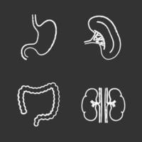 Internal organs chalk icons set. Stomach, kidneys, large intestine, spleen. Isolated vector chalkboard illustrations