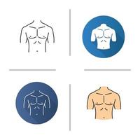 Muscular male chest icon. Flat design, linear and color styles. Isolated vector illustrations