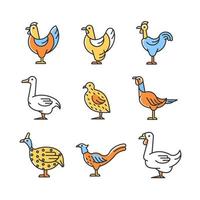 Domesticated birds RGB color icons set. Chicken and geese growth. Bird raising for meat and eggs. Commercial poultry farming. Isolated vector illustrations. Simple filled line drawings collection