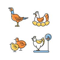 Domestic hens RGB color icons set. Female birds. Turkey and chicken. Brood hen. Poultry farming for eggs and meat. Isolated vector illustrations. Simple filled line drawings collection