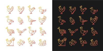 Farm birds for poultry gradient icons set for dark and light mode. Domestic fowl husbandry. Thin line contour symbols bundle. Isolated vector outline illustrations collection on black and white