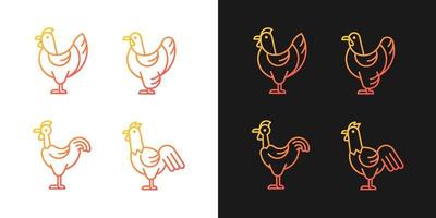 Chicken breeds gradient icons set for dark and light mode. Brahma hen. Transylvanian chicken. Thin line contour symbols bundle. Isolated vector outline illustrations collection on black and white