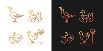 Iconos de gradiente de gallinas domésticas configurados para modo oscuro y claro. aves hembras. pavo y pollo. paquete de símbolos de contorno de línea delgada. colección de ilustraciones de contorno vectorial aislado en blanco y negro vector