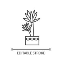 Yucca pixel perfect linear icon. Small exotic indoor palm. Mexican tree with pointed leaves. Thin line customizable illustration. Contour symbol. Vector isolated outline drawing. Editable stroke