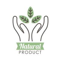 natural seal design vector