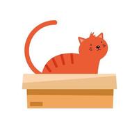 gatito en caja vector