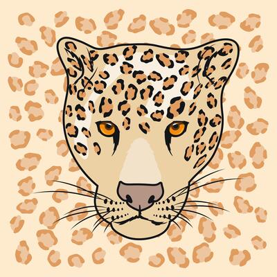 wild leopard head