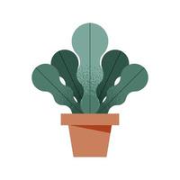 Plant inside pot vector