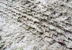 Tire tracks texture of truck on the mud photo