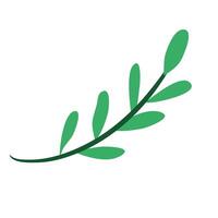 branch with leafs plant icon vector