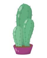 cactus mexican plant isolated icon vector