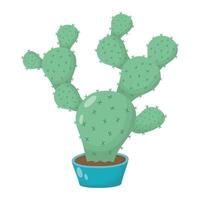 cactus mexicano planta icono aislado vector