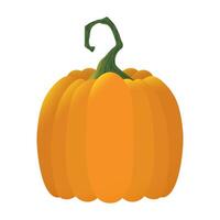 halloween pumpkin fruit seasonal icon vector